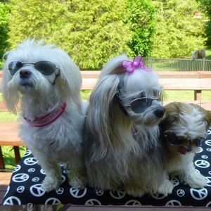 Meet your Posher, Kathleen